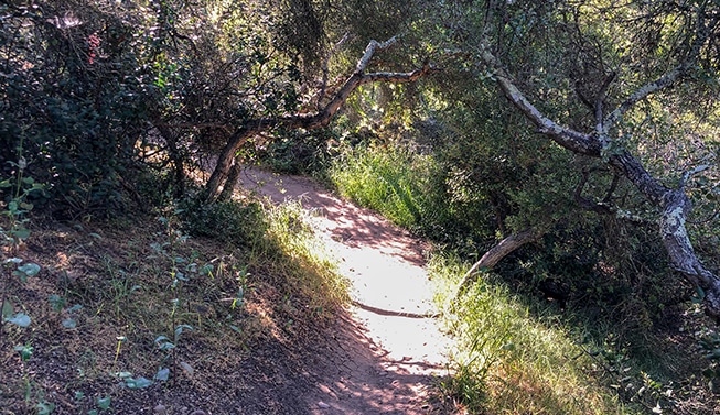 Linda Vista San Diego Walking Trail